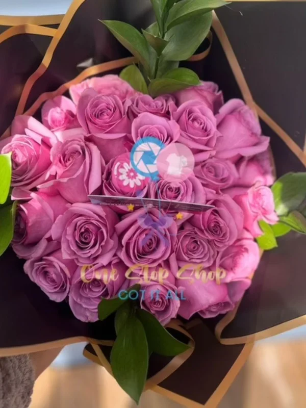 24 Magenta Roses