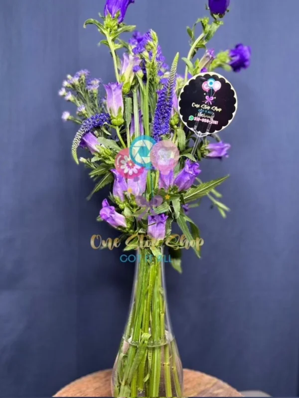 Purple Assortment
